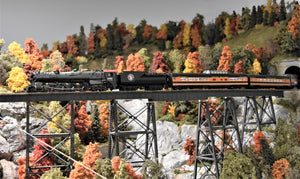 Behind the Scenes at the Pacific Southern Railway: Featured on CNJN’s Story Line