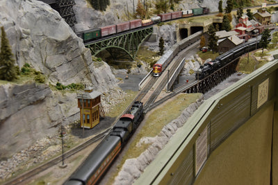 Pacific Southern Railway